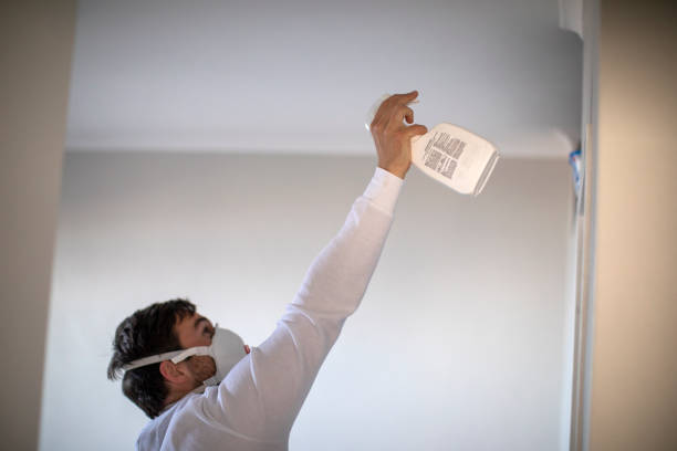 Best Water Damage Restoration  in Clay, AL